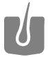 Hair Follicle Icon for • Skin and Soft Tissue Infections—Bacterial and Viral