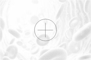 Black and white image of blood cells, representing TriCore's test offerings